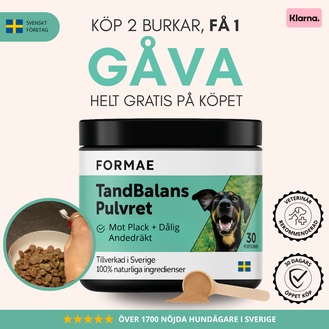 TandBalans Pulvret™ -  För Bättre Munhälsa