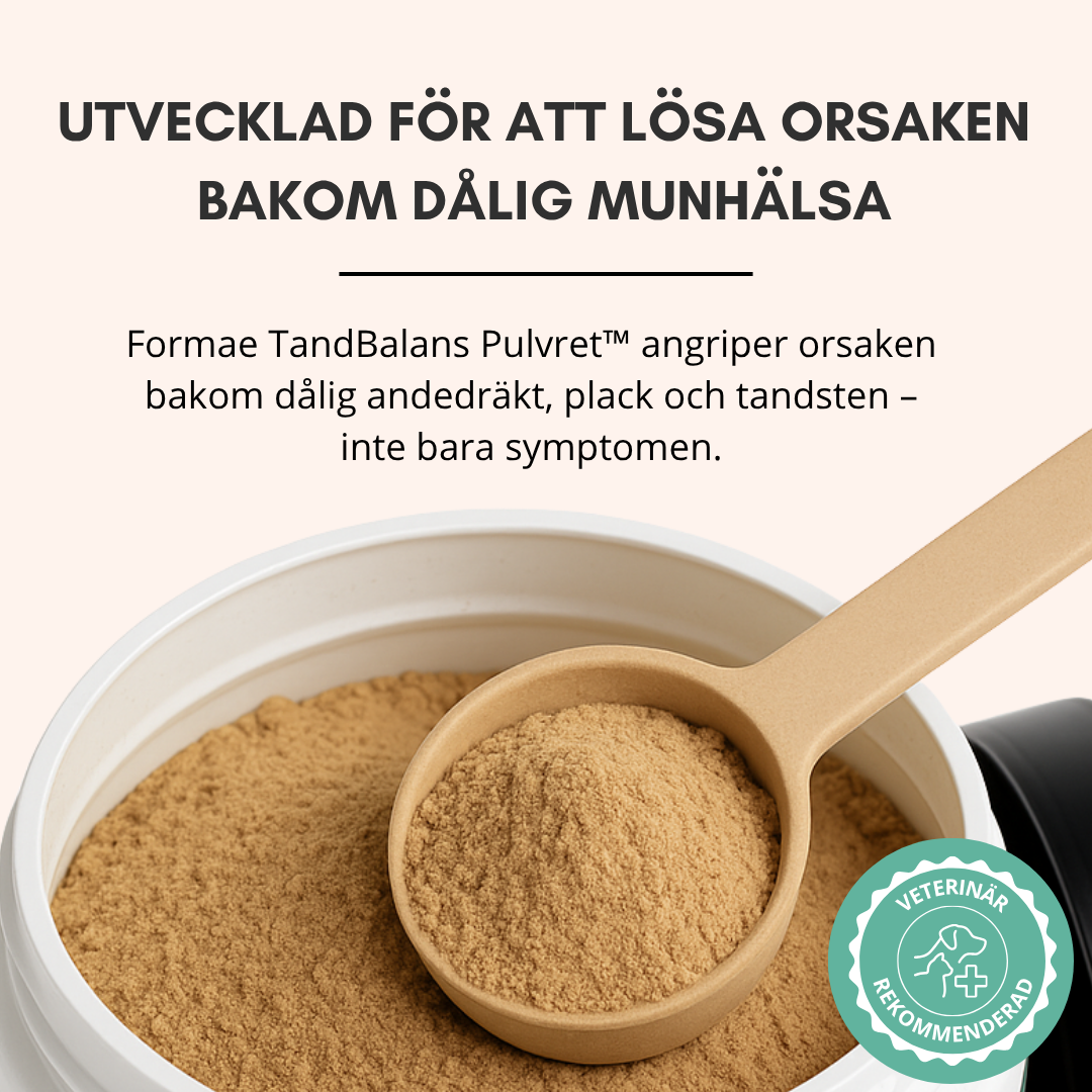 TandBalans Pulvret™ -  För Bättre Munhälsa