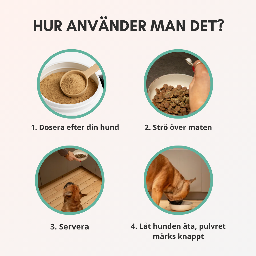 TandBalans Pulvret™ -  För Bättre Munhälsa