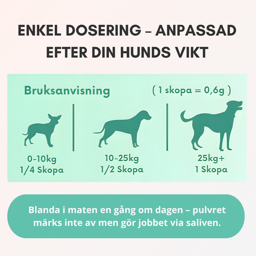 TandBalans Pulvret™ -  För Bättre Munhälsa