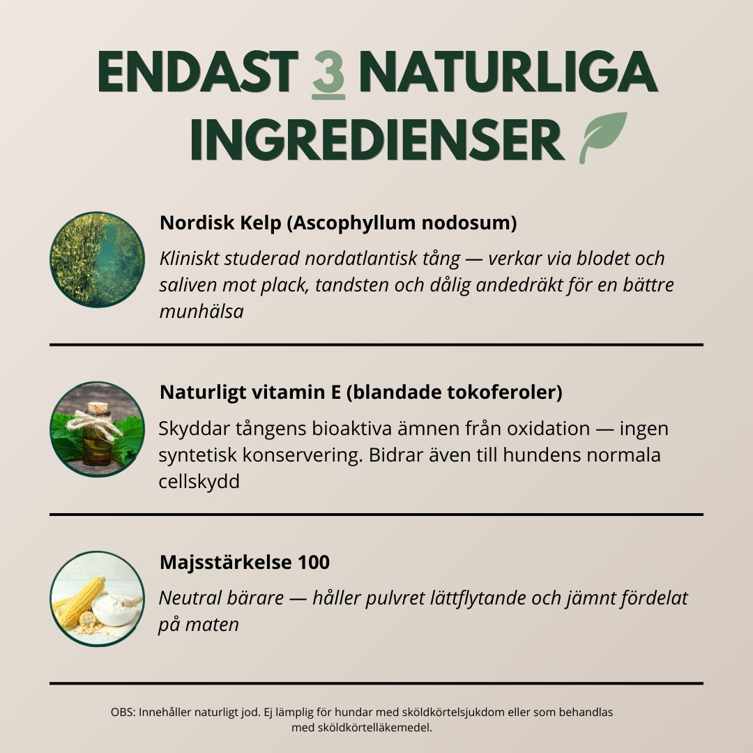 TandBalans™ -  Det naturliga tandstödet moderna hundar saknar