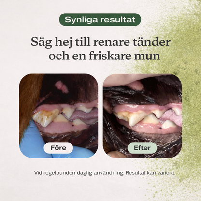 TandBalans™ -  Det naturliga tandstödet moderna hundar saknar