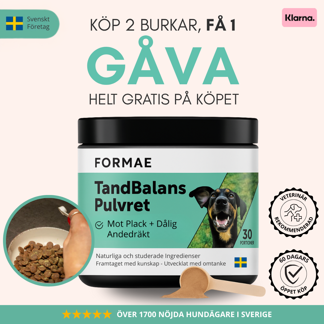 TandBalans Pulvret™ -  För Bättre Munhälsa