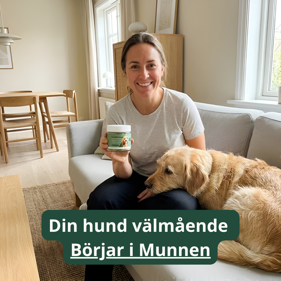 TandBalans™ -  Det naturliga tandstödet moderna hundar saknar