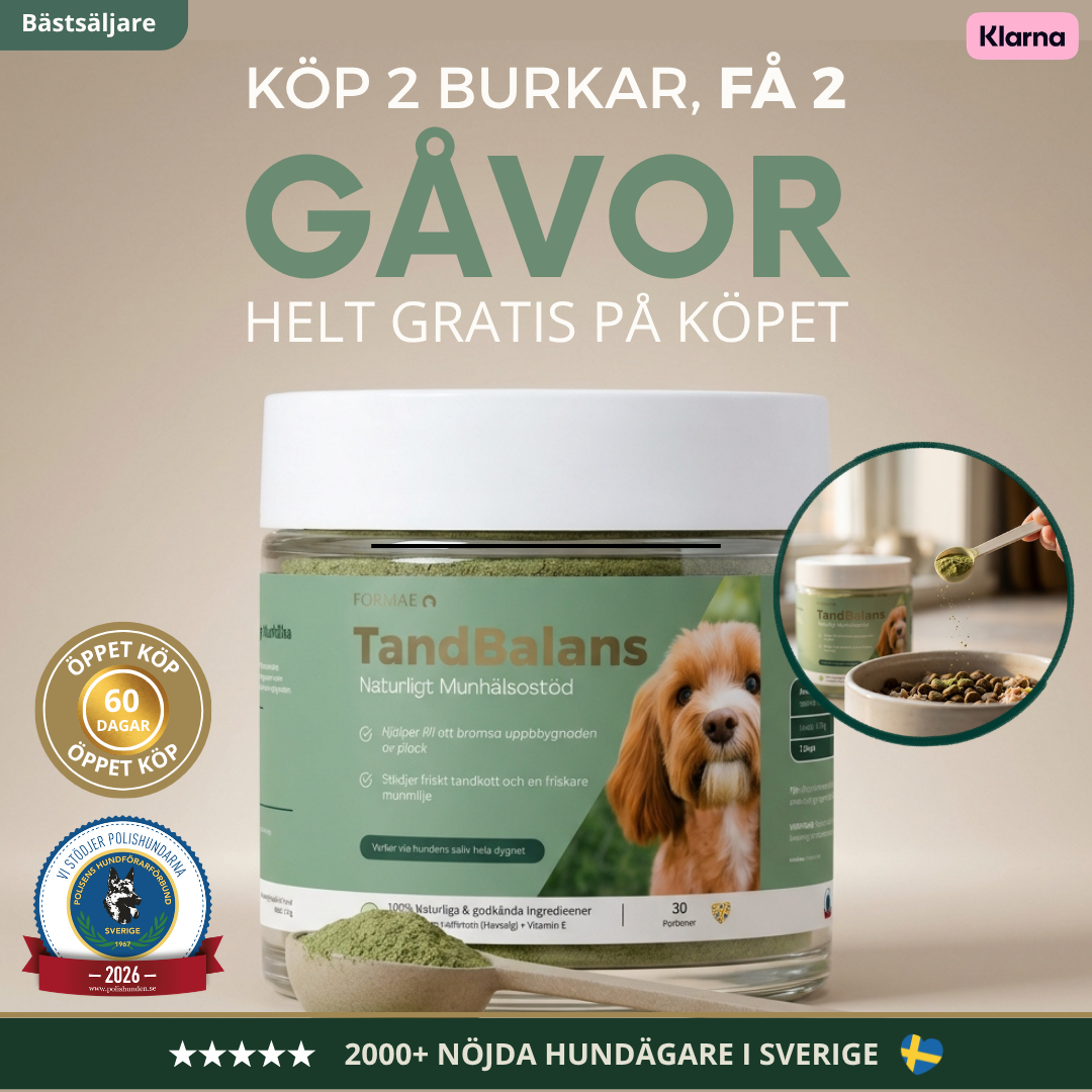 TandBalans™ -  Det naturliga tandstödet moderna hundar saknar