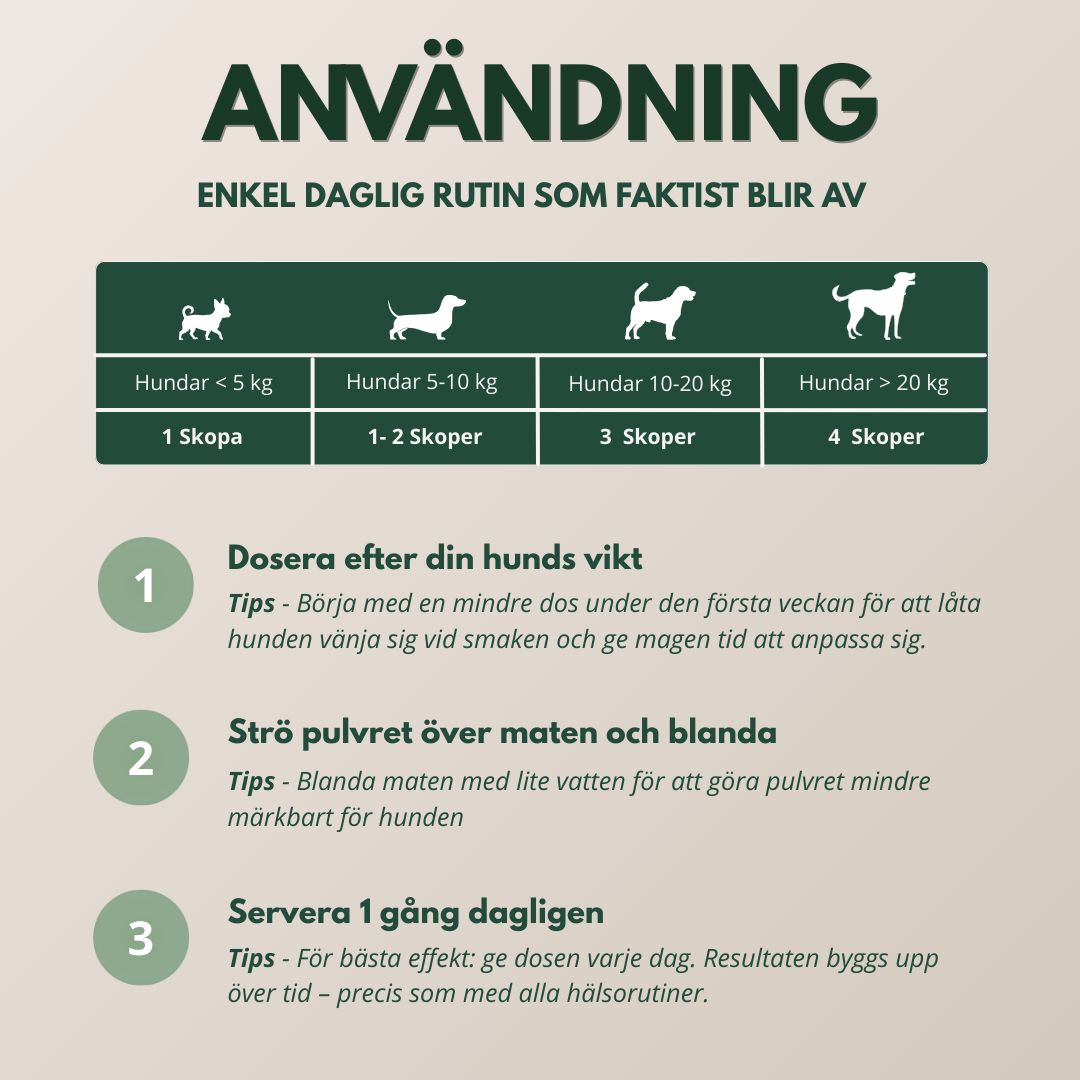 TandBalans™ -  Det naturliga tandstödet moderna hundar saknar