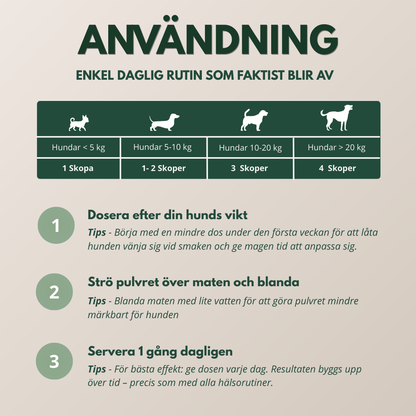 TandBalans™ -  Det naturliga tandstödet moderna hundar saknar