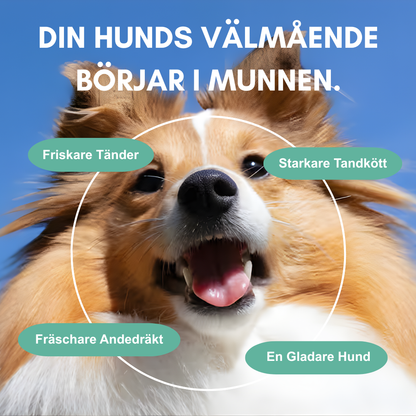TandBalans Pulvret™ -  För Bättre Munhälsa