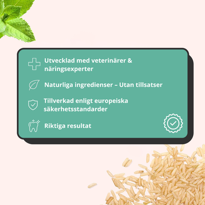 TandBalans Pulvret™ -  För Bättre Munhälsa