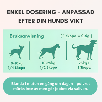 TandBalans Pulvret™ -  För Bättre Munhälsa