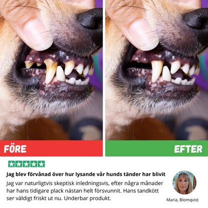 TandBalans Pulvret™ -  För Bättre Munhälsa